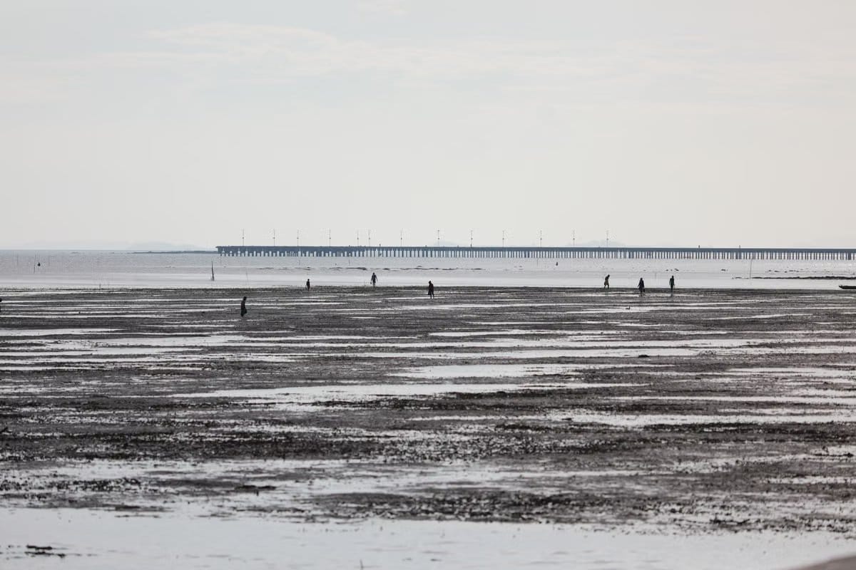 Tranquil beach at low tide with a long pier in the distance, like the Parksville oceanfront