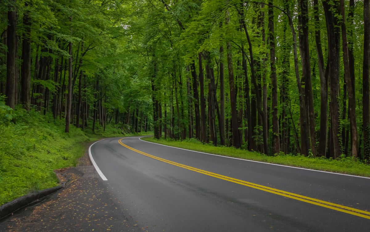 A winding road through forest and mountains near Duncan on Vancouver Island